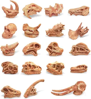 19 PCS Mini Mammal Skull Set Realistic Dinosaur Bones Prehistoric Animals Head Skeleton Playsets Ancient Daeodon Mastodon Collection Figures Models