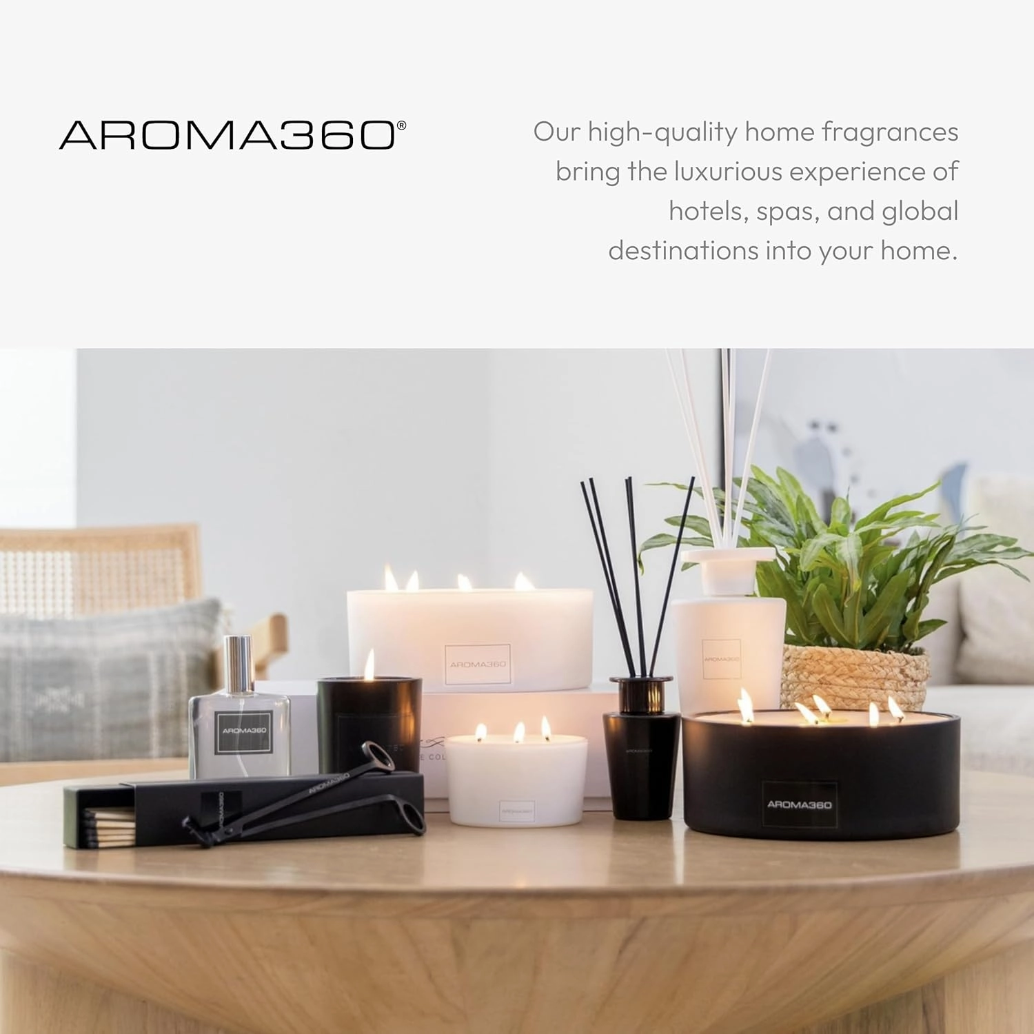 Aroma360 Reed Diffuser - Reed Diffuser with Fragrance Oil - Scents Inspired by Ritz Carlton - Scent Includes Ozone, Jasmine & Black Pepper, Escapade - White, 100mL/3.38 fl oz