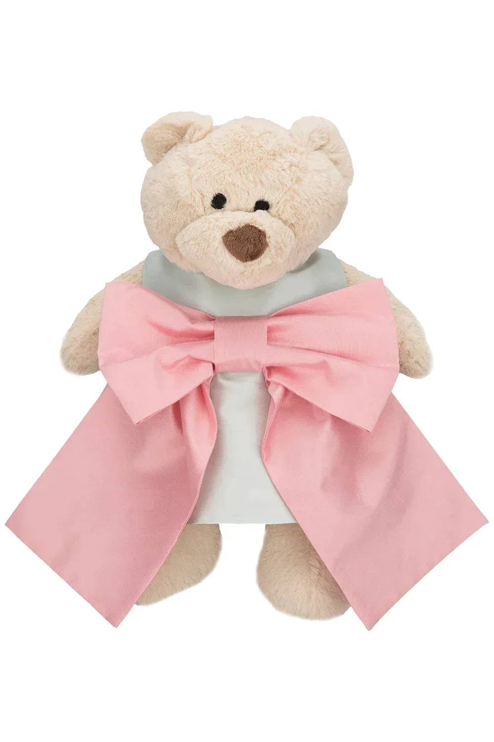 Brown Teddy Bear 5