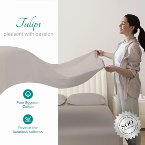 Carressa Linen 100% Egyptian Cotton Sheets Queen Size Bed Set - 4 PC 800 High Thread Count Egyptian Cotton Queen Sheet Set (Taupe), Soft, Cooling, 16" Deep Pocket Sateen Weave Luxury Hotel Bedsheet
