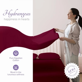 Carressa Linen Egyptian Cotton Sheet Set - 800 TC 4 PC Burgundy Queen Bedsheet for Queen Size Bed, Sateen Weave Luxury Hotel Sheets, Soft Cooling Bed Sheet, 16" Deep Pocket (Fits Upto 18" Mattress)