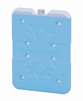 Companion - Ice Brick