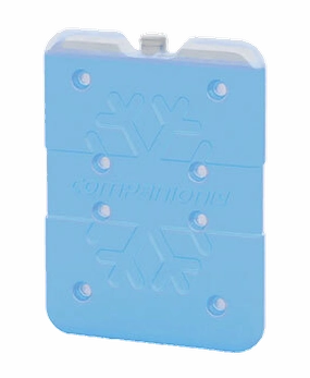 Companion - Ice Brick