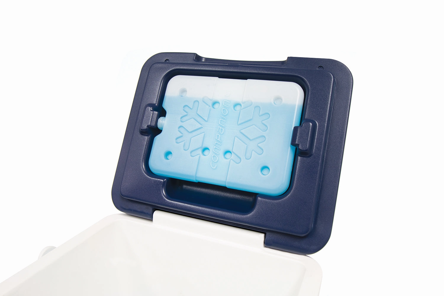 COMPANION Slim Ice Brick