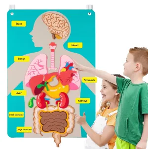 Craftstory Teaching Body Parts Felt Board Stories for Toddlers, Arts Crafts Toys for Kids Sensory Activities Teacher Daycare Supplies