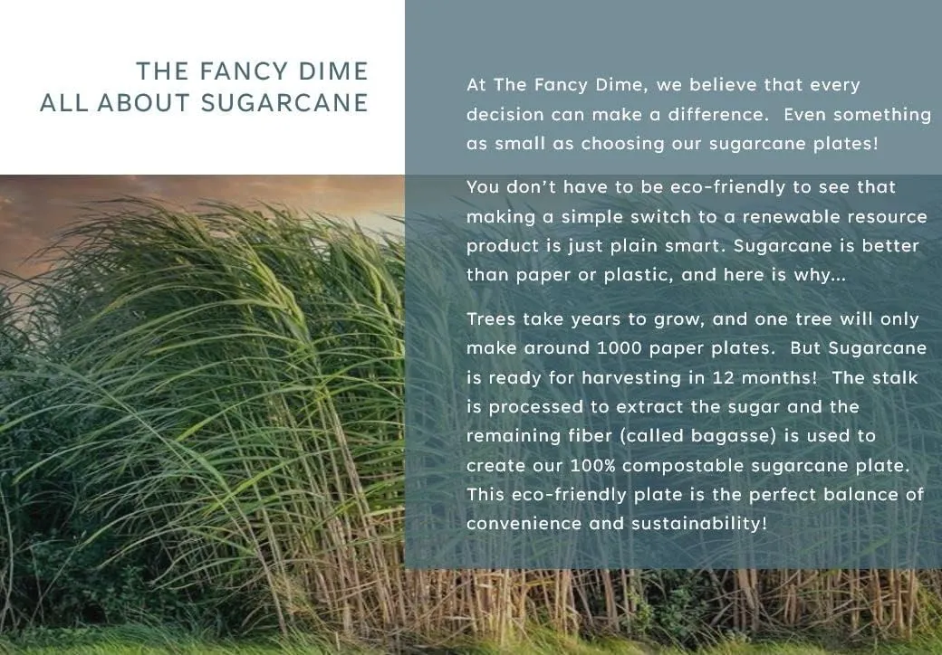 Disposable Paper Plate: Heavy Duty, Elegant, Eco-Friendly, Compostable Paper Plates (50 Count), Tree Free Sugarcane Bagasse Plate with Color Party Plate (10 inch Gold Dinner Plate)