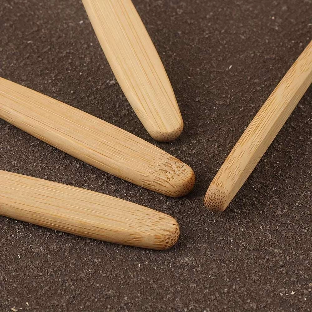Eco-Friendly Wooden Toothbrush