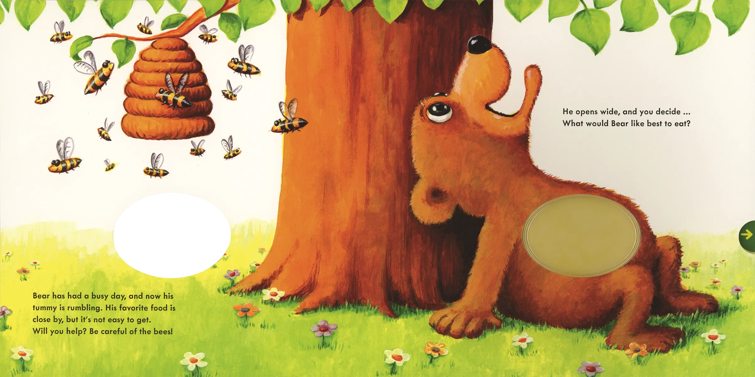 Feed the Animals Board Book