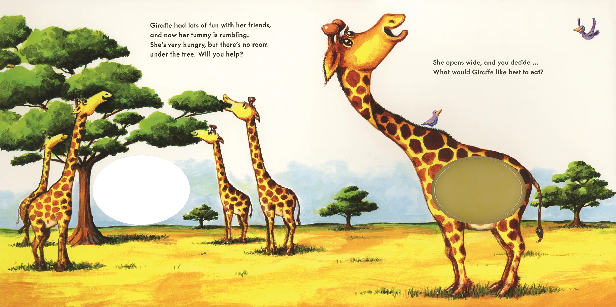 Feed the Animals Board Book