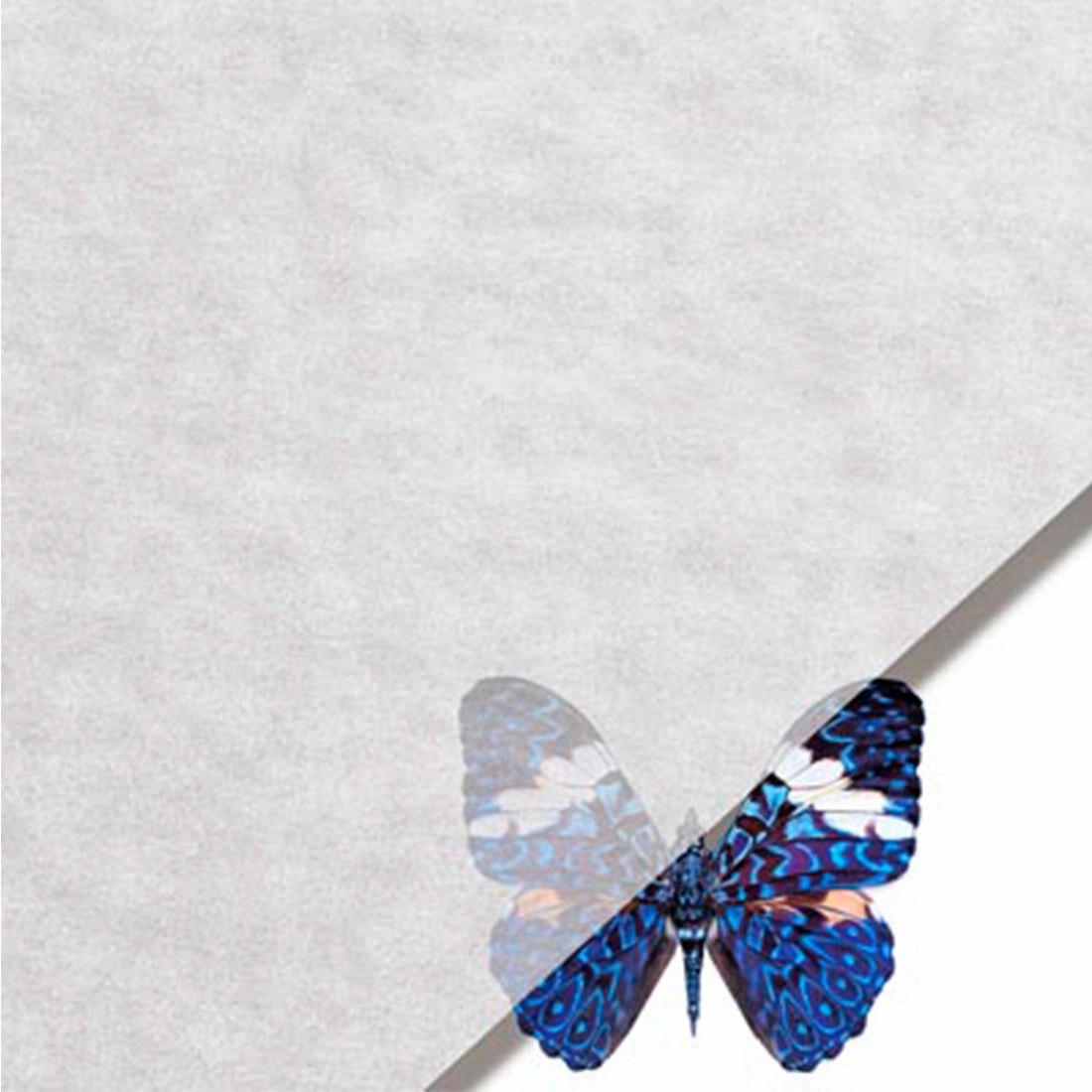 Glassine Paper 41gsm - Pack of 10