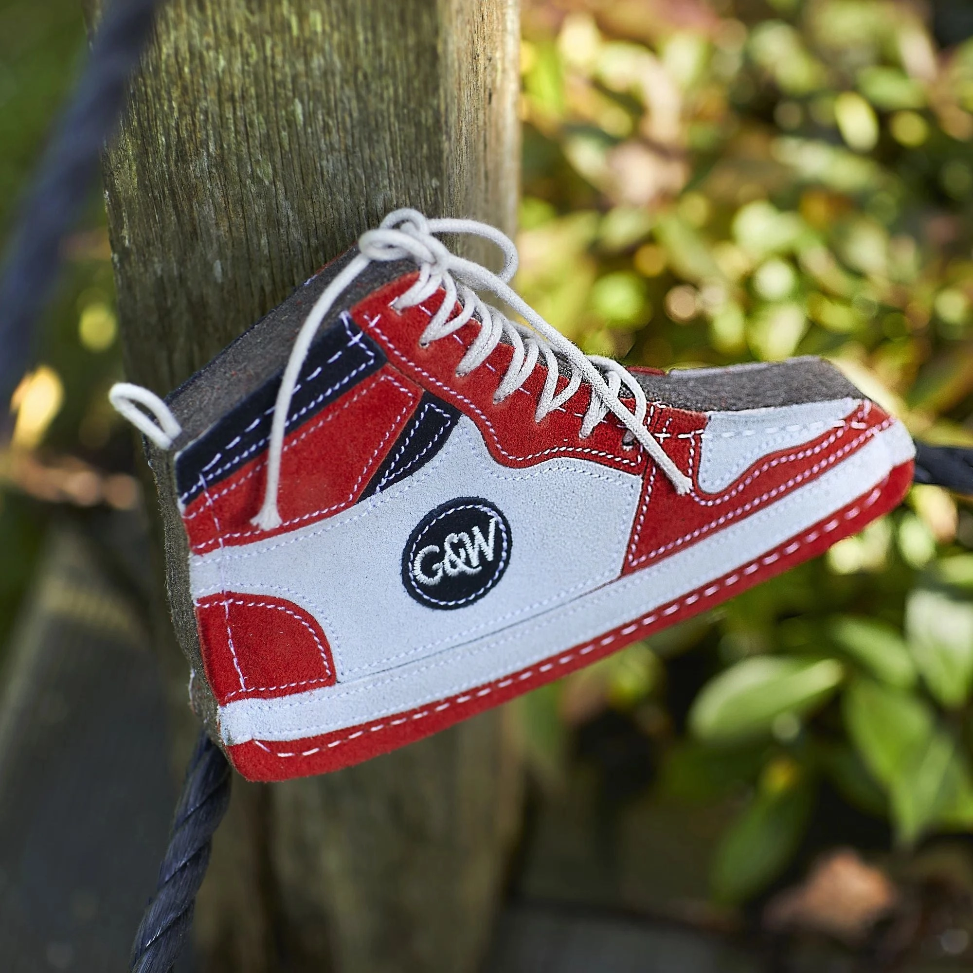 Gordon Hi-Top, Eco Dog Toy