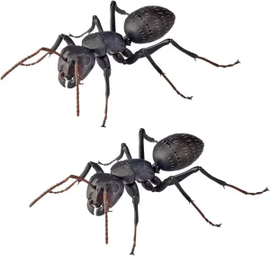 Kaiyodo REVO GEO Black Ant Total Length Approx. 4.5 inches (115 mm), Non-scale, PVC & ABS, Painted Action Figure