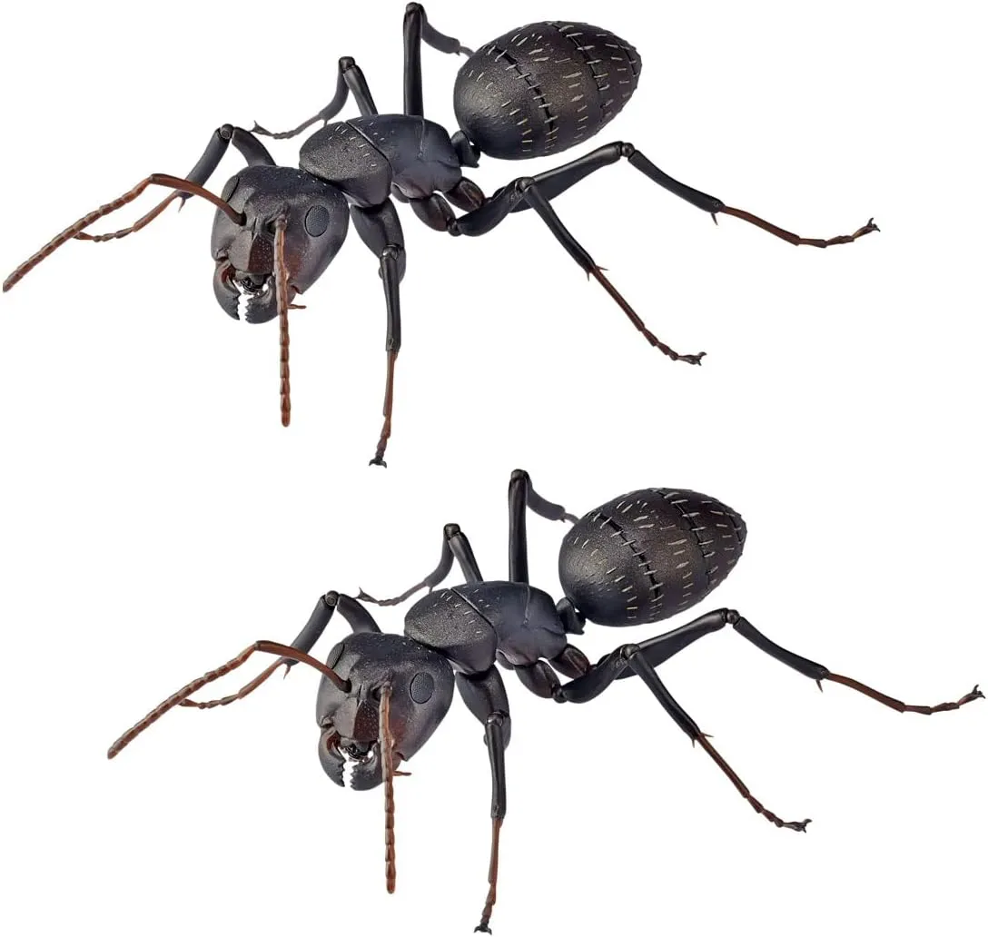 Kaiyodo REVO GEO Black Ant Total Length Approx. 4.5 inches (115 mm), Non-scale, PVC & ABS, Painted Action Figure