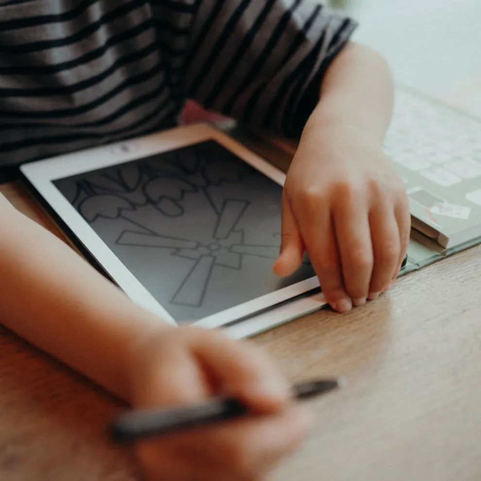 Kidywolf Drawing Pad 30 Dinosaurs