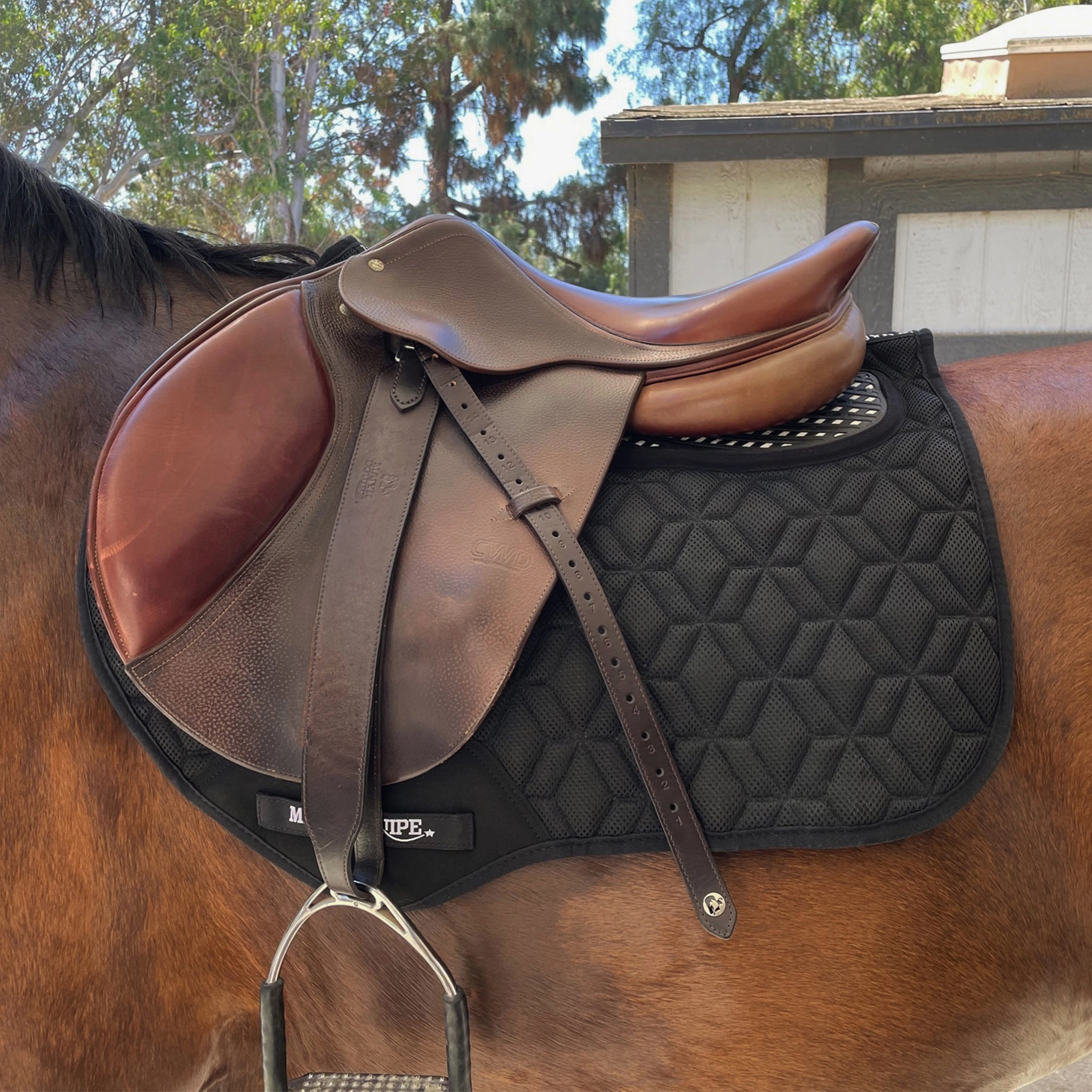 Majyk Equipe Jump Pad Non Slip Cool Mesh with Impact Protection Black