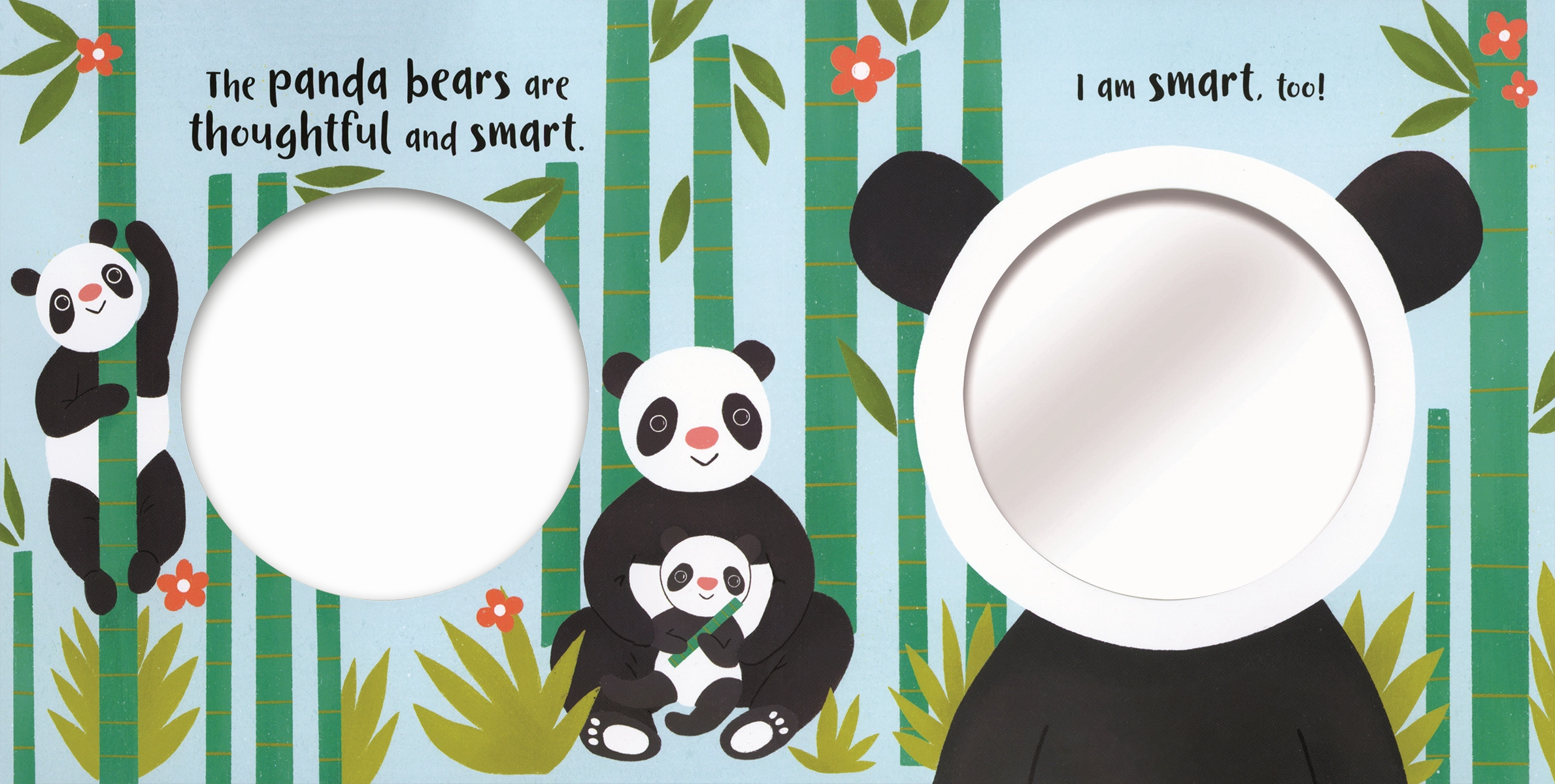 Mirror, Mirror: Happy Faces Board Book