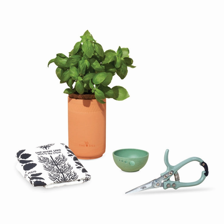 Modern Sprout® Growing Gourmet Gift Set