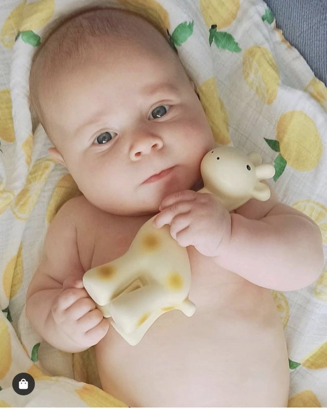 My First Zoo Animal - Giraffe