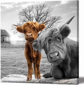 Rinsiken Highland Cow Canvas Wall Art Black and White Animal Print Pictures Highland Cattle Photo Framed Farmhouse Painting 20x20 inches for Home Décor