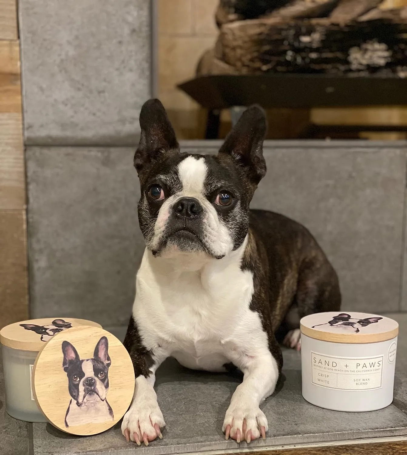 Sand   Paws Scented Candle -California Beach House –Luxurious Air Freshening Jar Candles Neutralize pet Odors and Enhance Home décor – 100% Cotton Lead-Free Wicks - 12oz