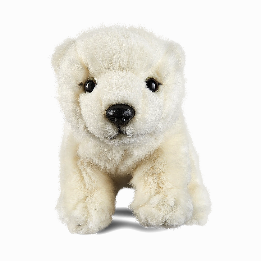 Sitting Polar Bear Cub