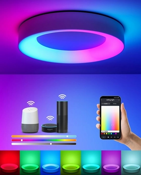 Smart Ceiling Light WiFi, RGB LED Ceiling Light Fixture, 2400LM Flush Mount Lighting Fixture, Works with Alexa Google, 3000K-6500K Low Profile Ceiling Lights for Bedroom, Living Room, 11in