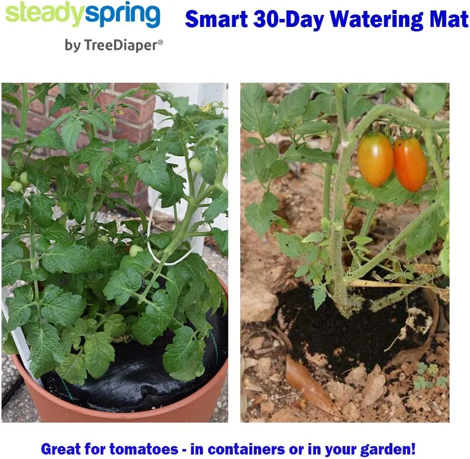 SteadySpring(R) Smart 30 Day Watering Mat Auto Refills with Rain for Tomato Plants, Peppers, Veggies, Perennials, Annuals in 1-2 Gallon Containers or with a 7 in to 10 in Root Ball (4)
