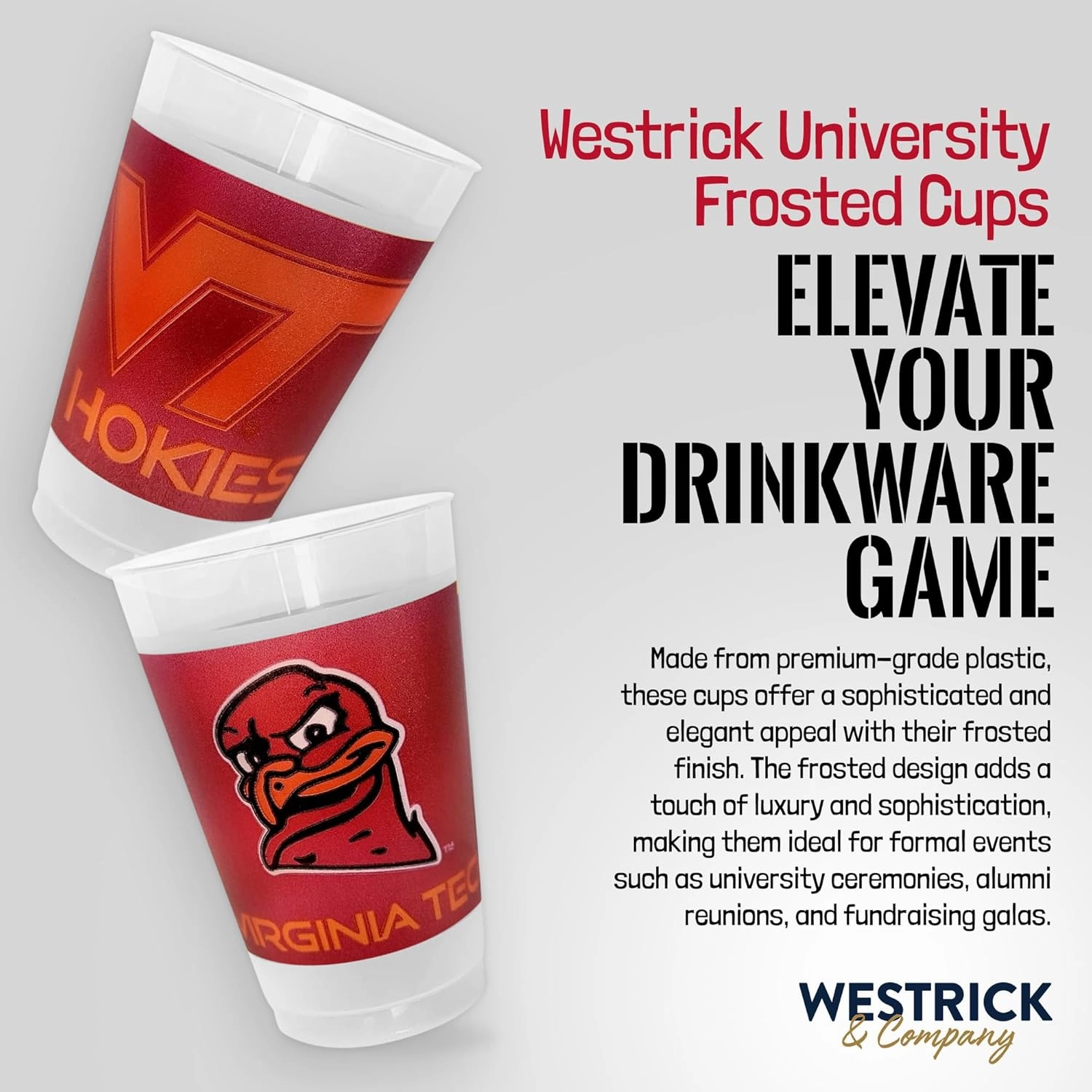University Plastic Cups, Fun Party Supplies, Ideal Tailgate and Football Party Decorations, College Football Party Pack - 14 oz. Frosted Cups - 25 per Set, Wisconsin Badgers