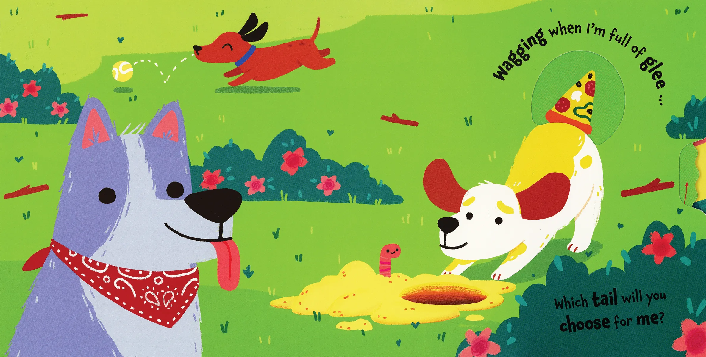 Which Tail? Board Book