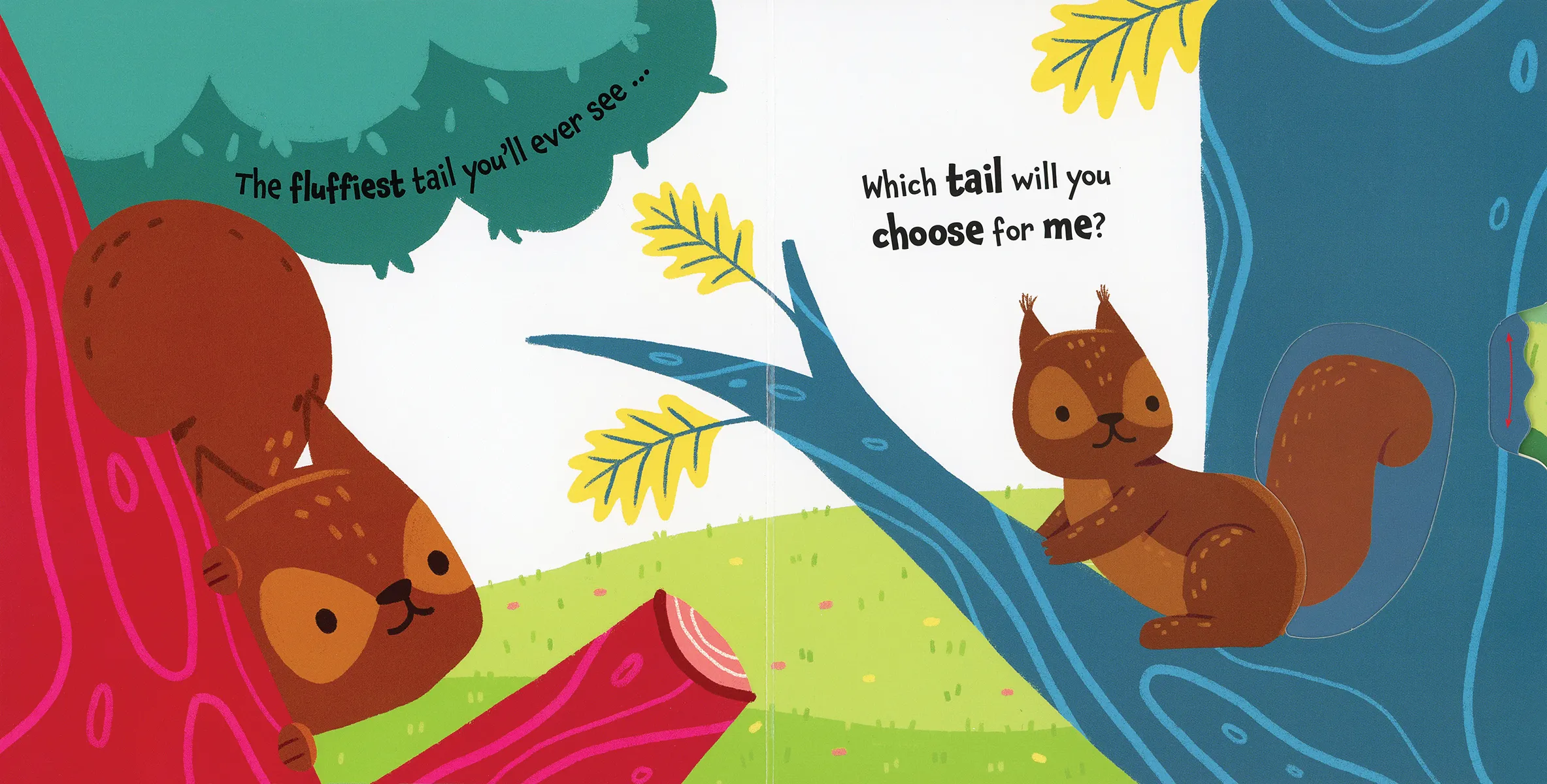 Which Tail? Board Book